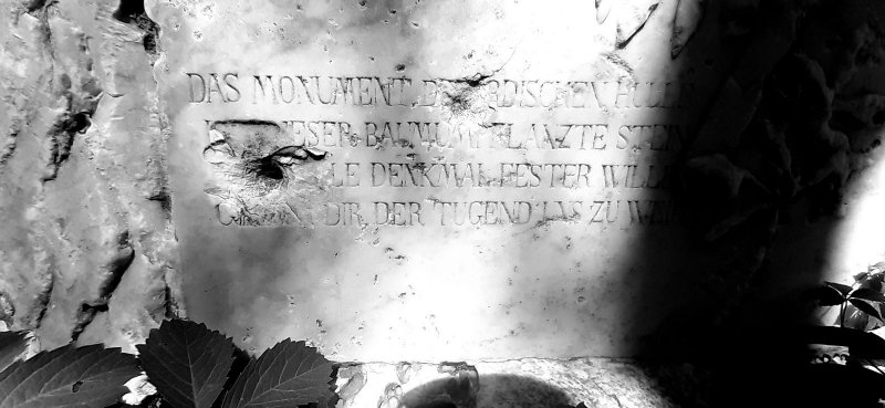 photo-14