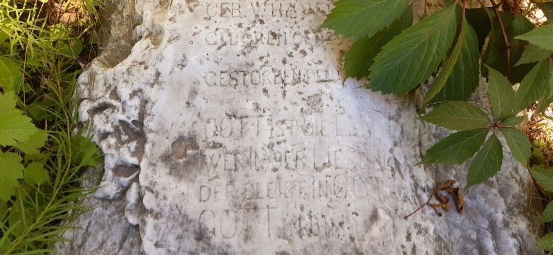 photo-6