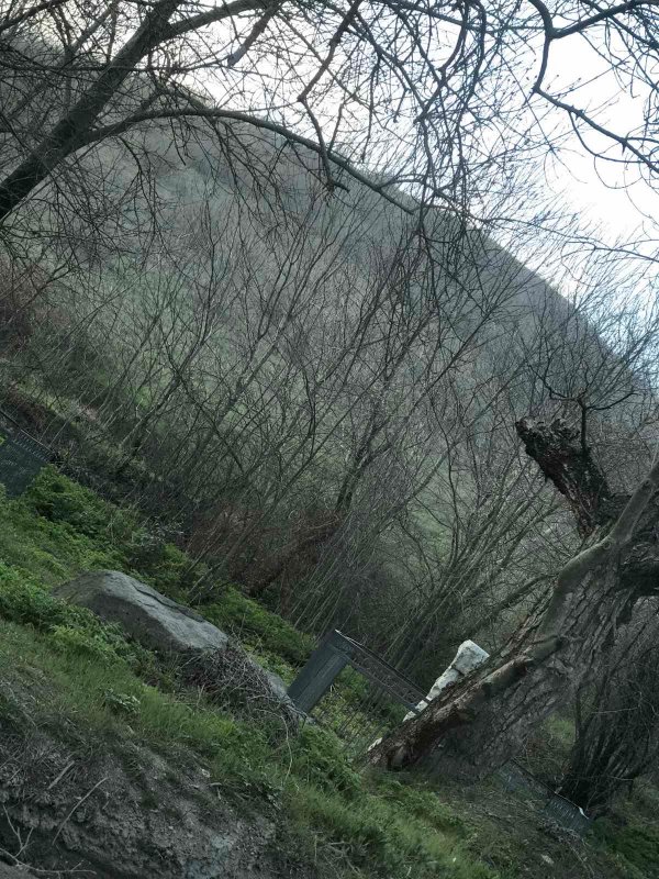 photo-12