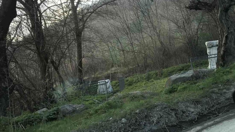 photo-13