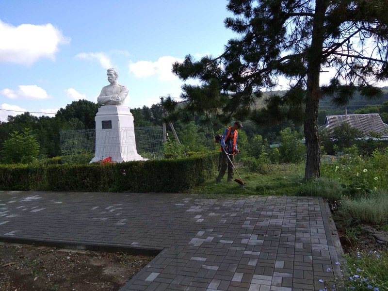 photo-1