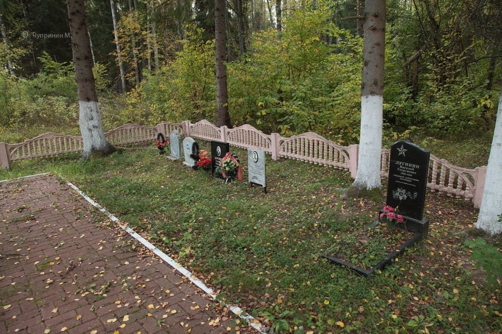 photo-1