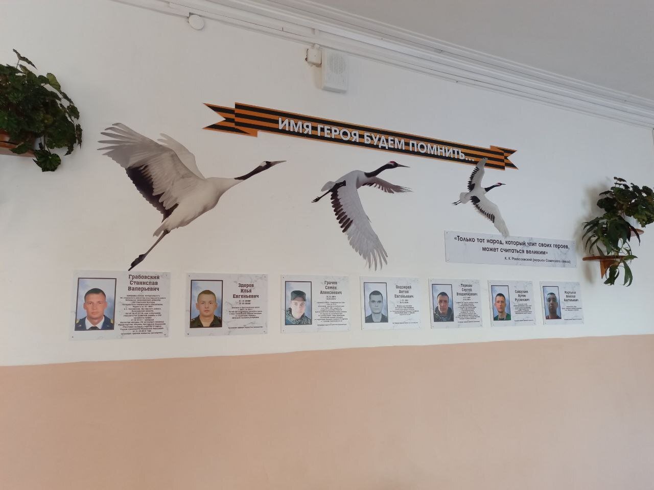 photo-7