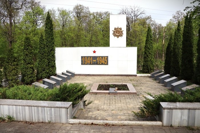 photo-1