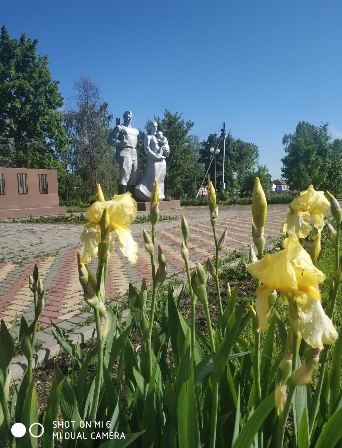 photo-2
