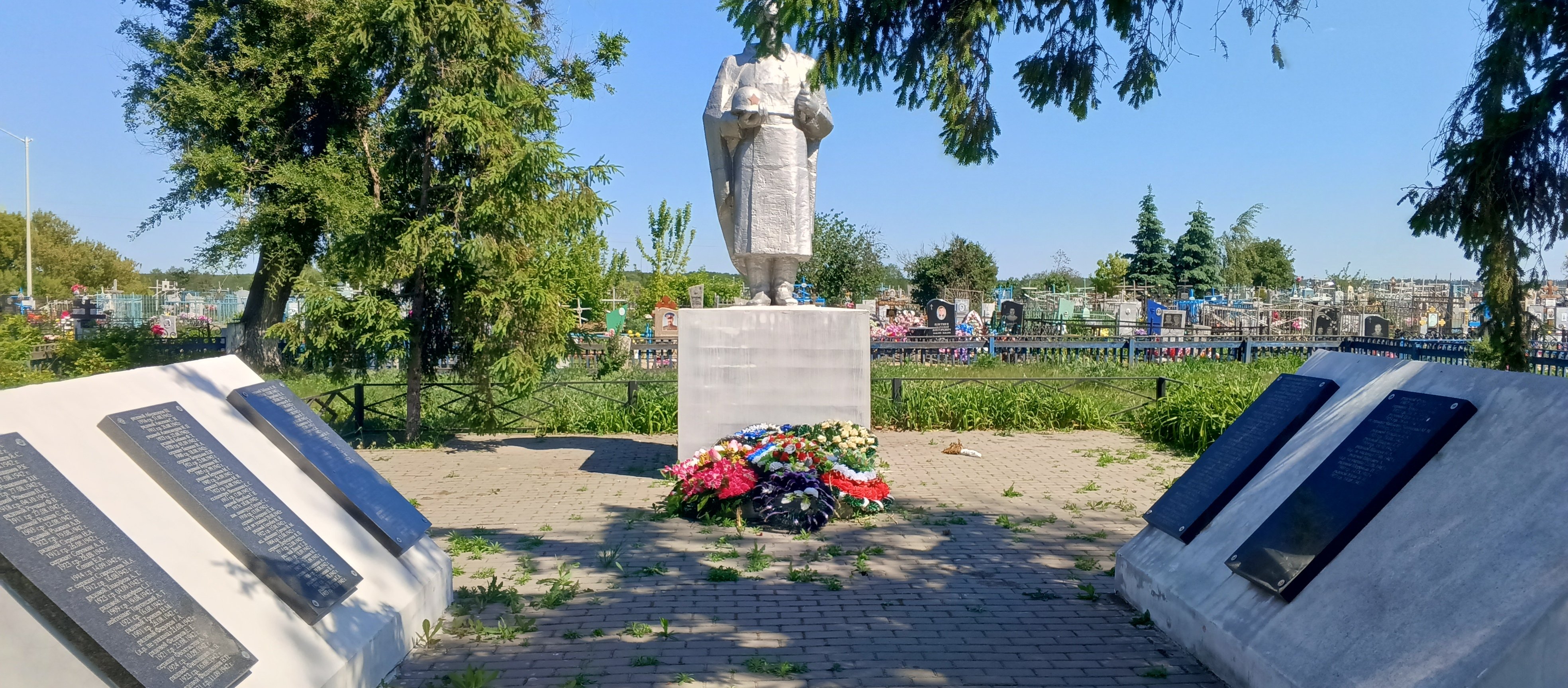 photo-1