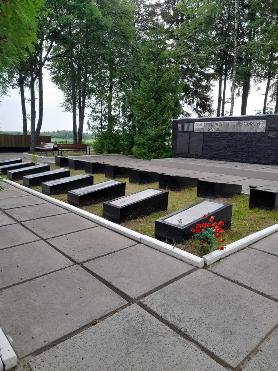 photo-1