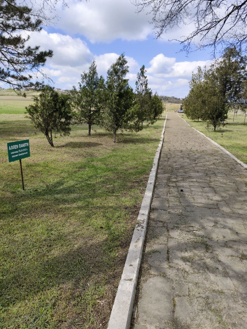 photo-1