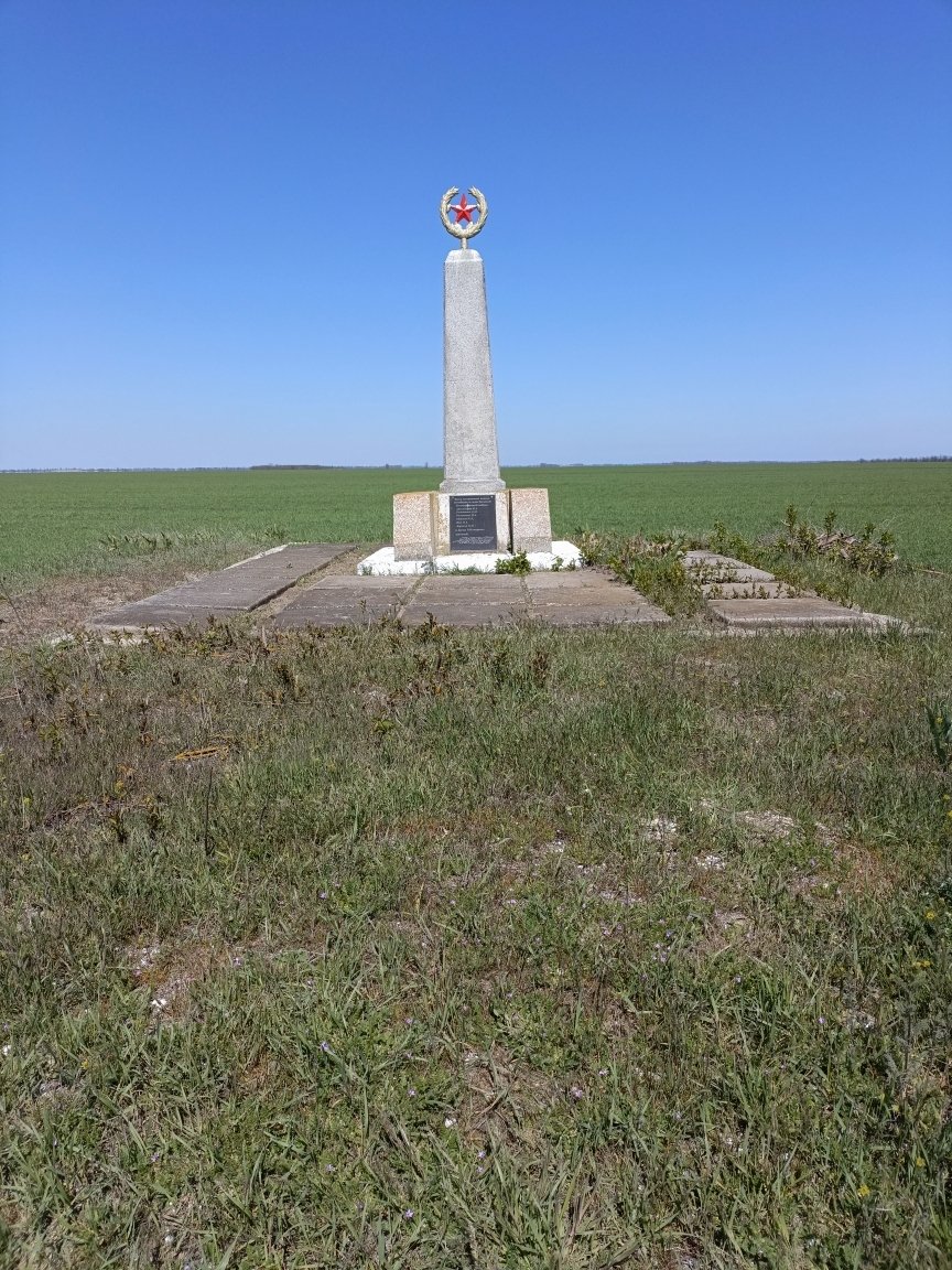 photo-1