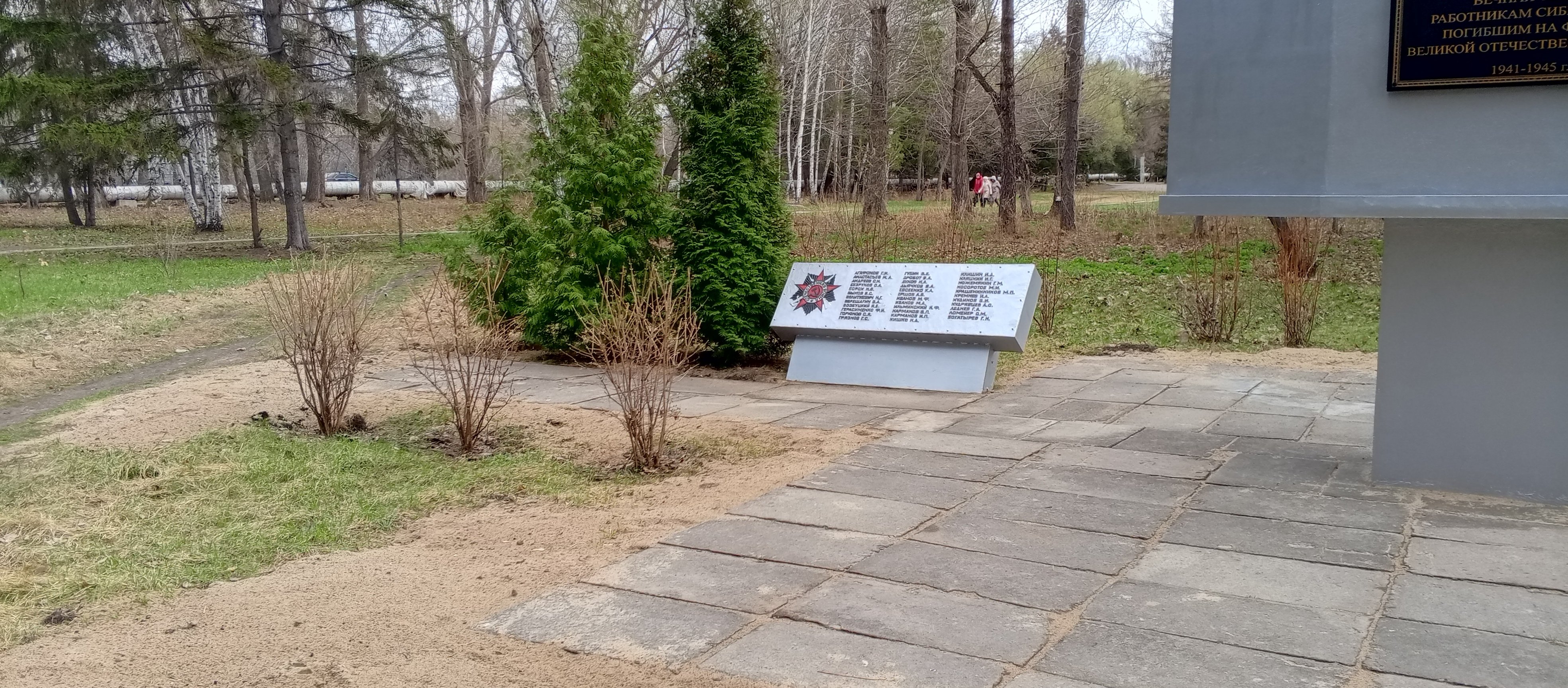 photo-1