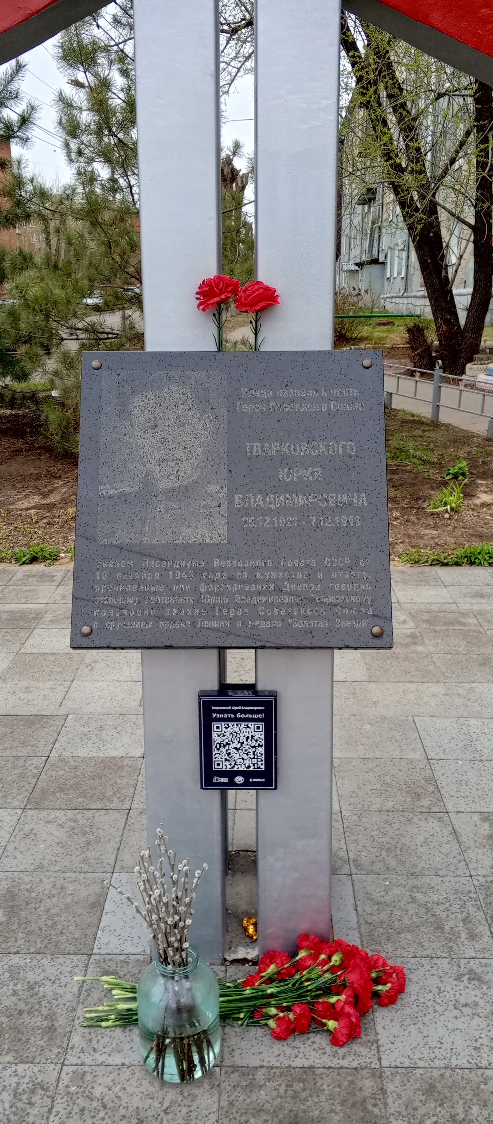 photo-1