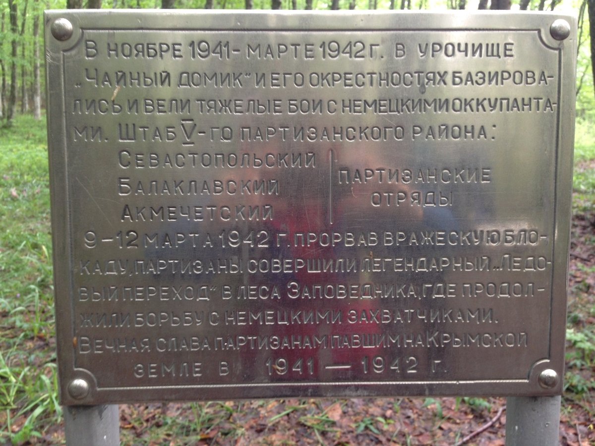 photo-3