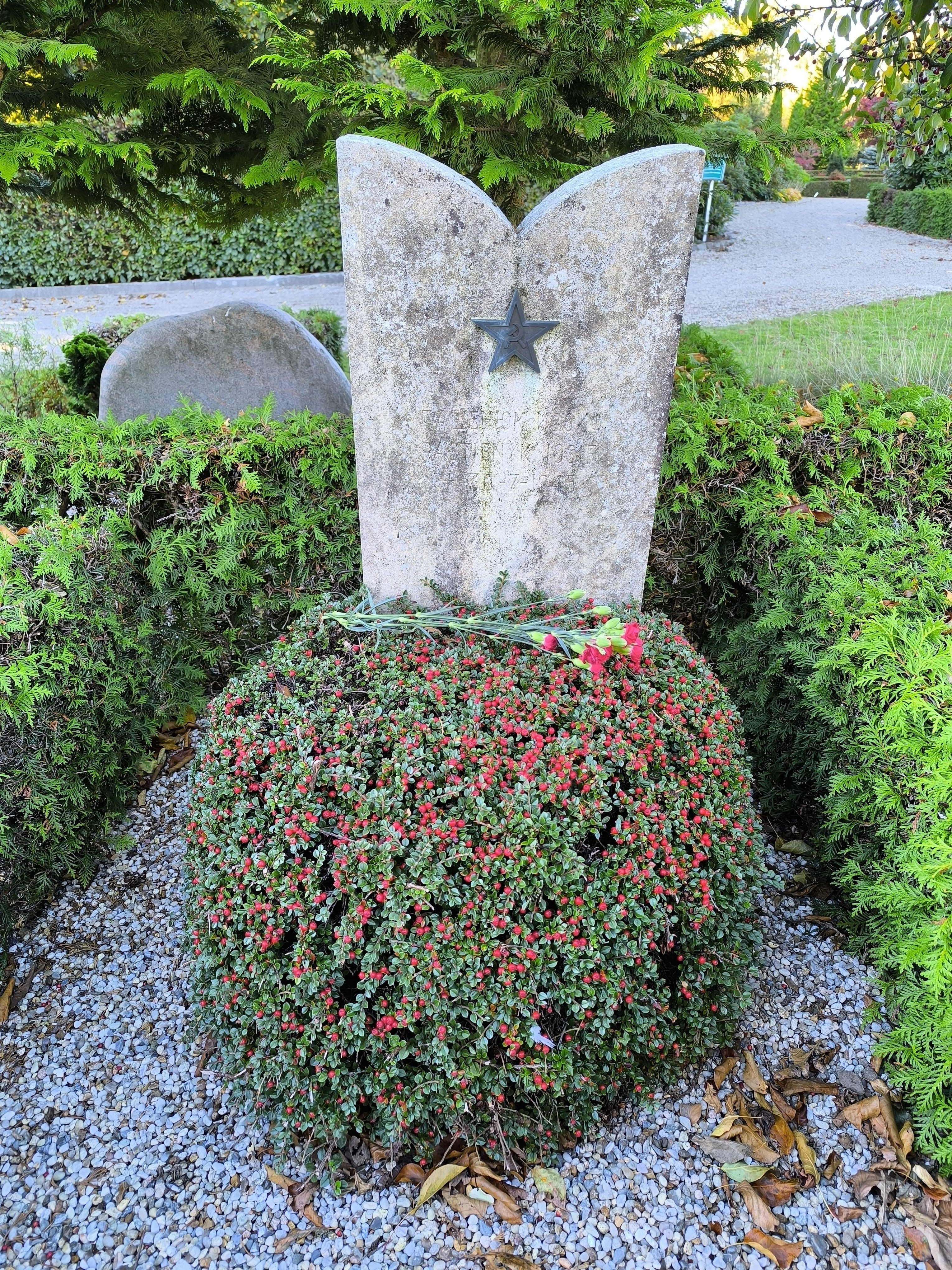 photo-1