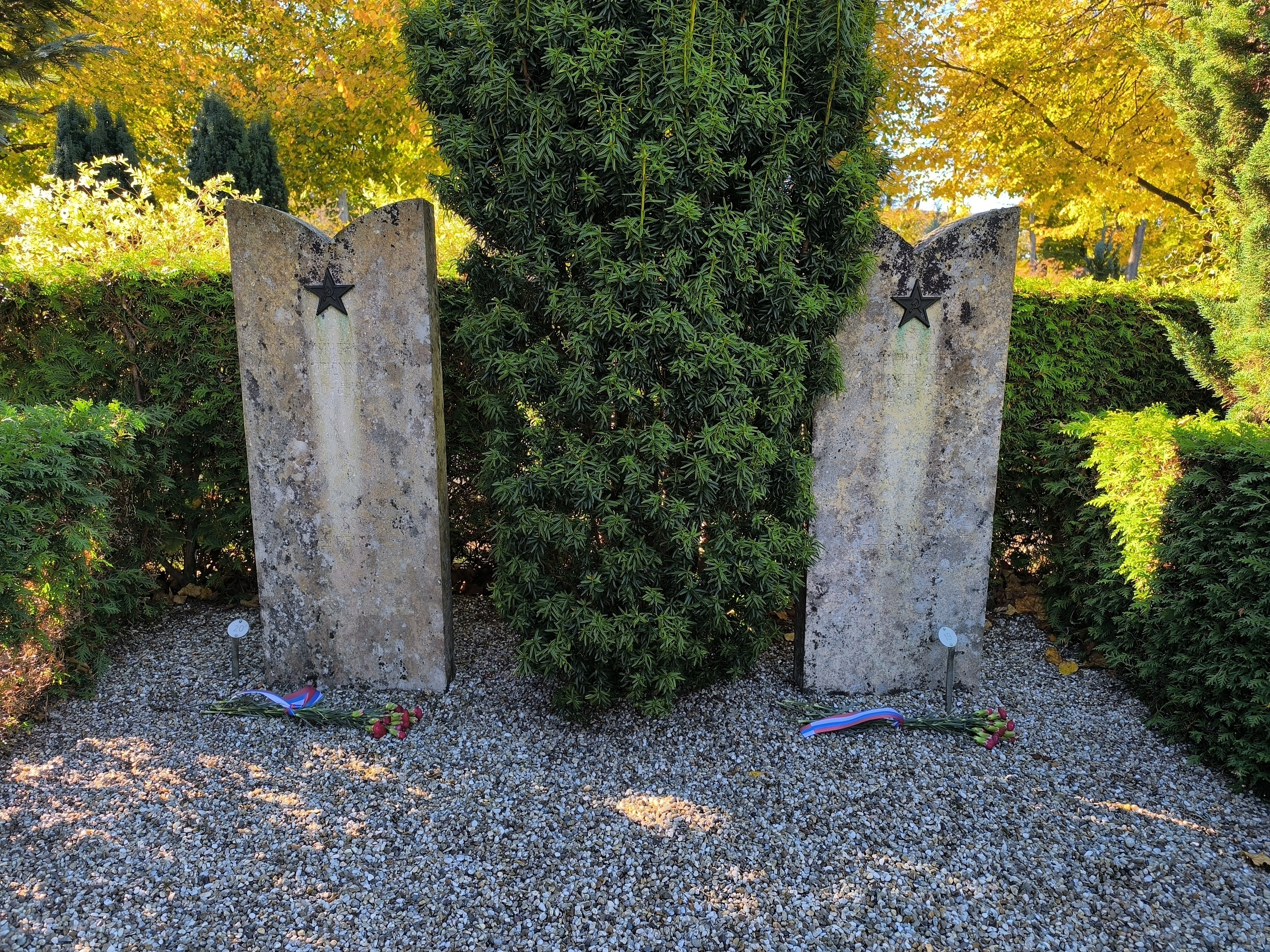 photo-4