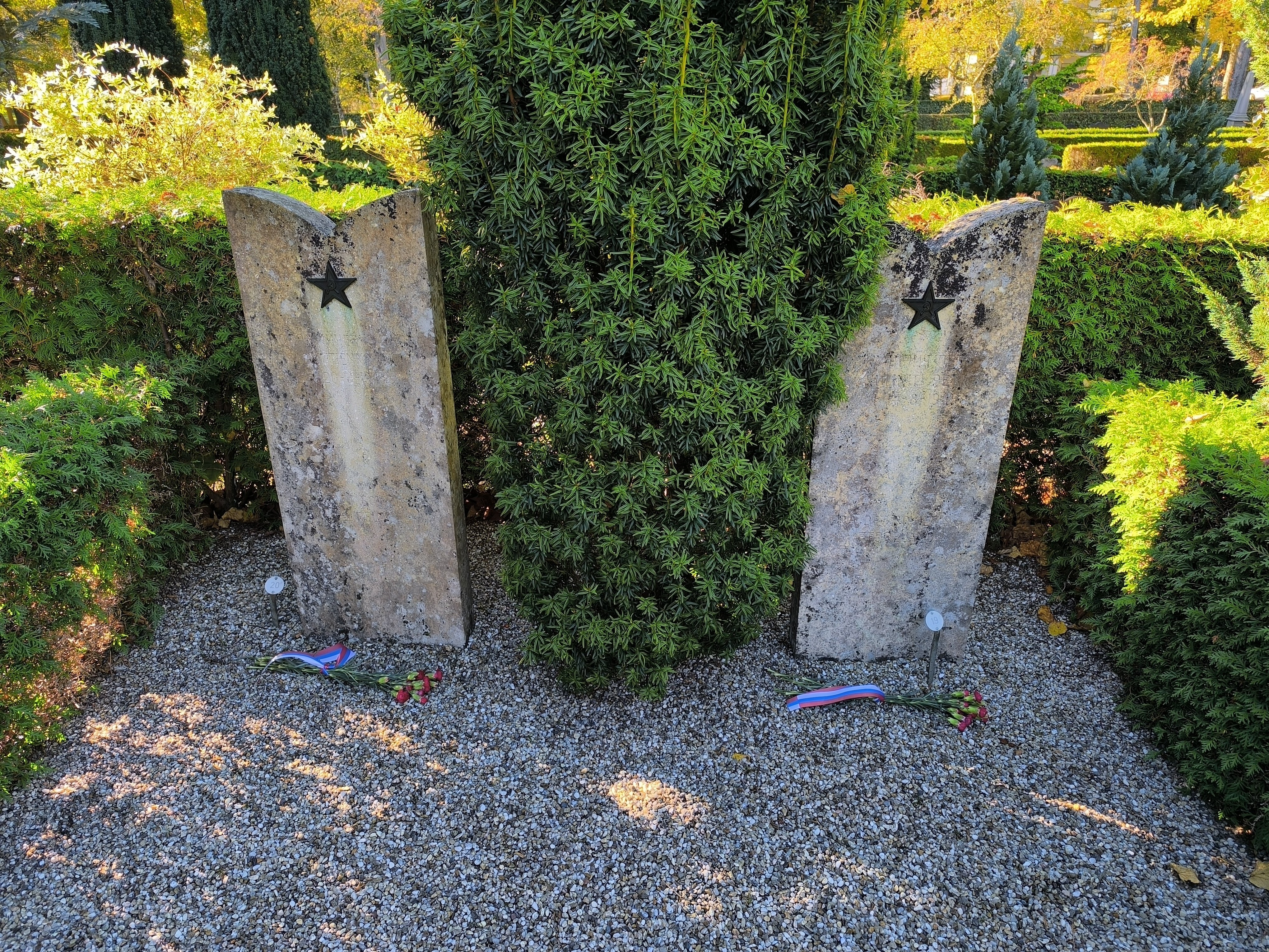 photo-5