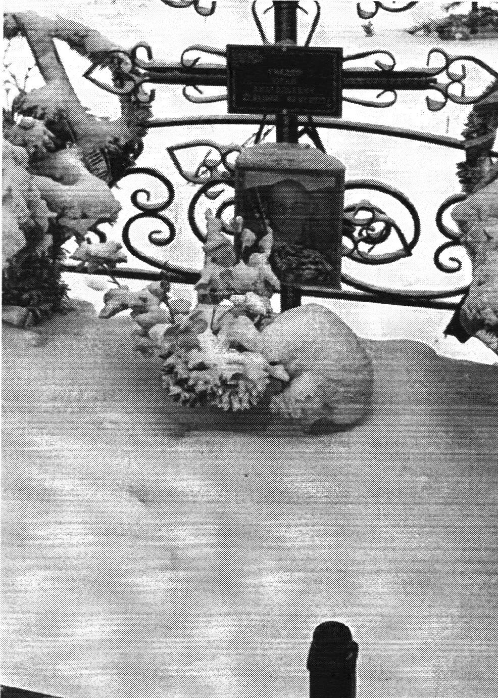photo-0
