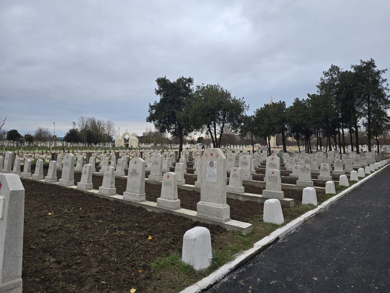 photo-1
