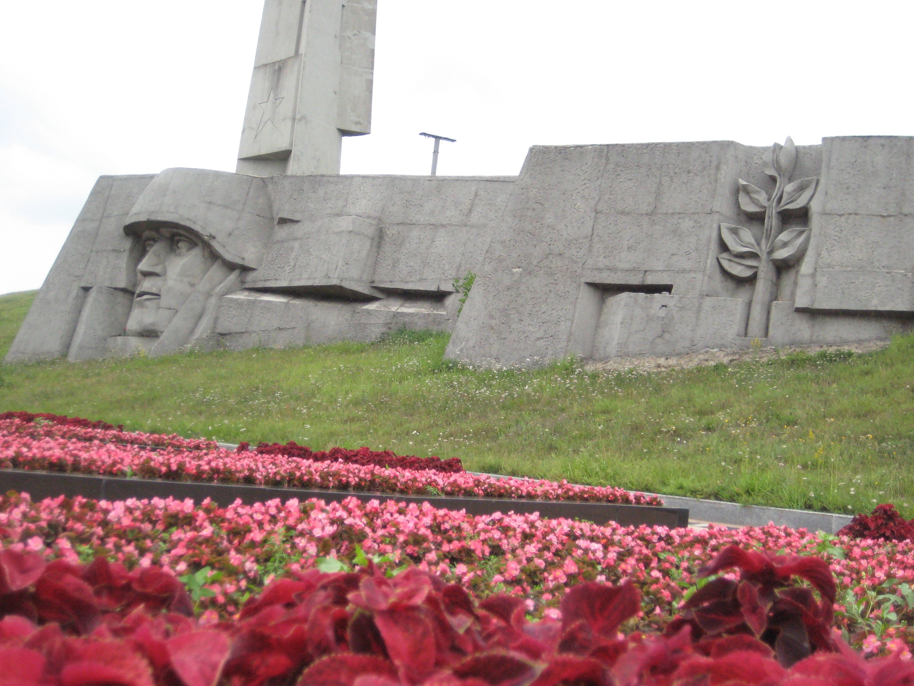 photo-1